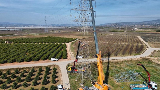 ep archivo   iberdrola avanza en el rediseno de la red afectada por la dana y renueva y limpia mas