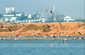 ep archivo - planta de atlantic copper en huelva