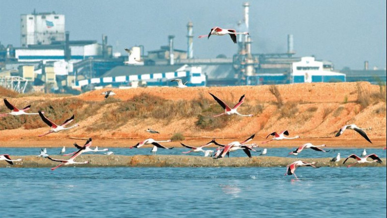 Archivo - Planta de Atlantic Copper en Huelva. | ATLANTIC COPPER. - Archivo ep archivo - planta de atlantic copper en huelva