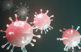 ep coronavirus 20200311183906 ep coronavirus 20200311183906