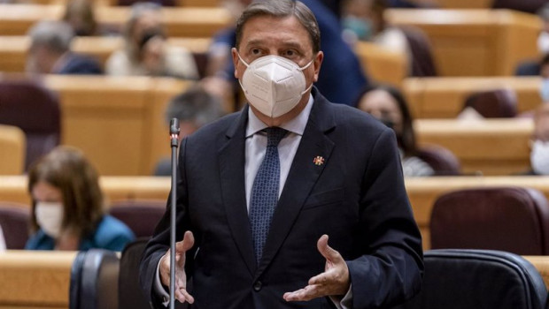ep el ministro de agricultura pesca y alimentacion luis planas en el pleno del senado