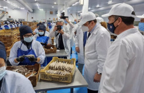 ep el ministro de agricultura pesca y alimentacion luis planas en su visita a usisa en isla cristina