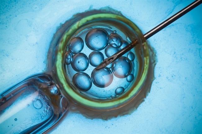 ep fecundacion in vitro tratamiento fertilidad
