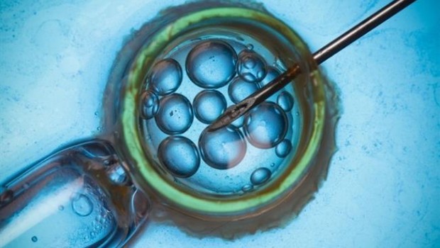 ep fecundacion in vitro tratamiento fertilidad