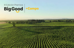 ep iii edicion de los premios big good