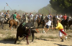 ep joven clavandolanzatoro enfestividadtordesillas