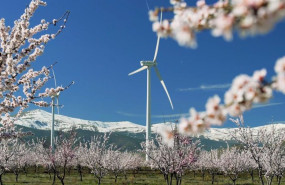 ep la electrica vasca promueve en cuatro continentes la capacitacion en sostenibilidad de mas de 920
