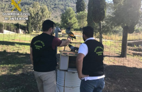 ep la guardia civil detieneun varonla sustraccion39 palomos valorados30000 euros