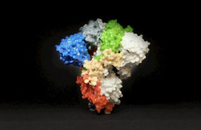 ep la imagen muestra una impresion 3d de una proteina espiga en la superficie del sars-cov-2 el