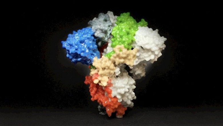 ep la imagen muestra una impresion 3d de una proteina espiga en la superficie del sars-cov-2 el