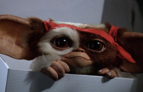 gizmo gremlins