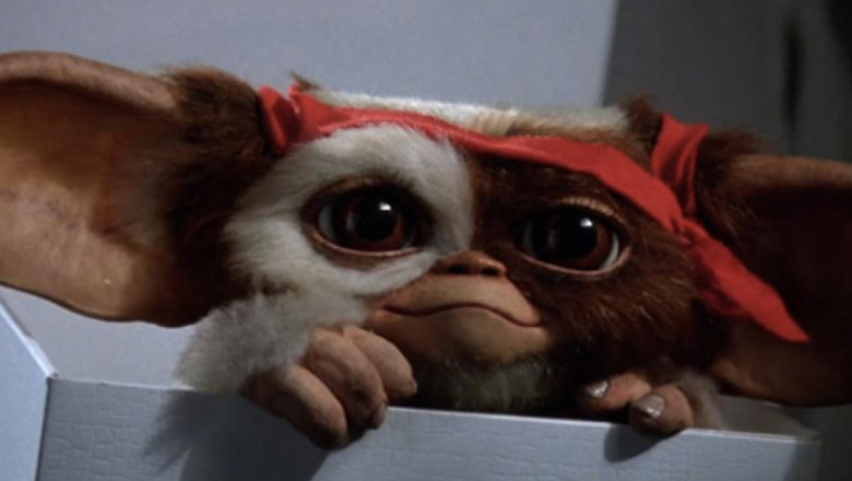 gizmo gremlins gizmo gremlins