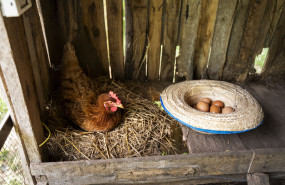 imagen 1 20230824122717 