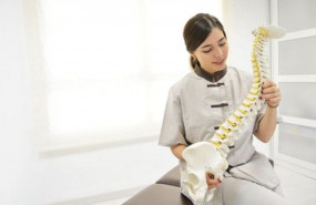 1571750505 quiropractica