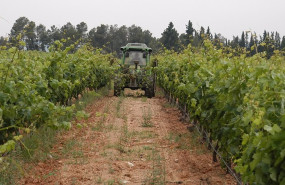 ep archivo   tractor en un campo imagen de archivo