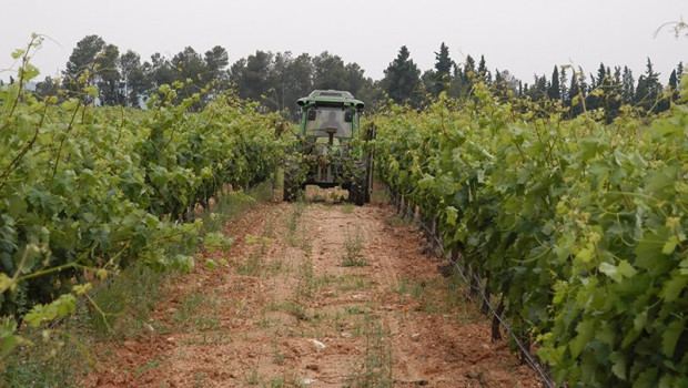 ep archivo   tractor en un campo imagen de archivo