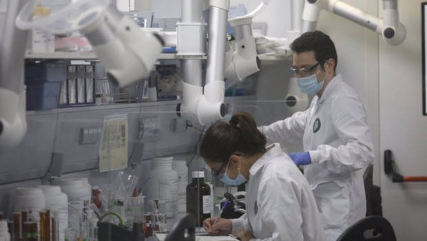 ep archivo   varios trabajadores en el laboratorio de una fabrica farmaceutica