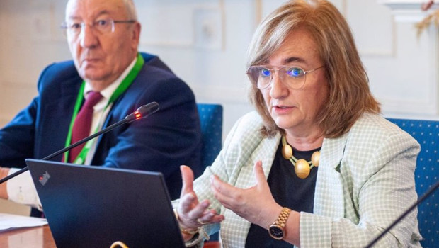 ep la presidenta de la airef cristina herrero en su intervencion en el curso de verano de la apie en