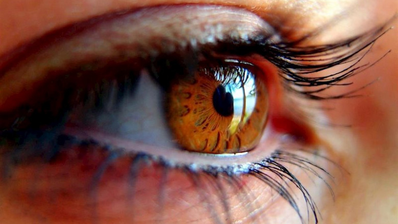 ep lassociacio de glaucoma per afectats i familiars agaf demana mes investigacio sobre la influncia ep lassociacio de glaucoma per afectats i familiars agaf demana mes investigacio sobre la influncia