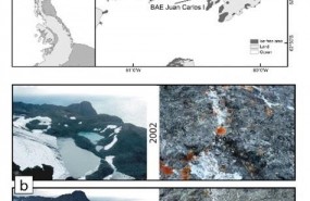 ep los liquenes sufrenregresionla peninsula antartica