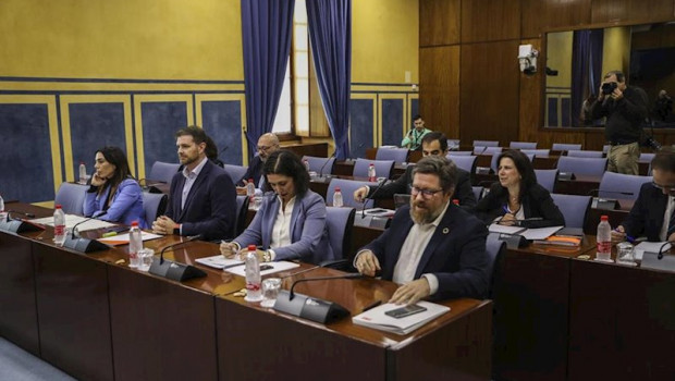 ep los representantes de los distintos grupos politicos parlamentarios en la comision de