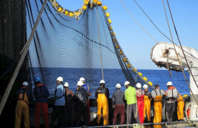 ep tareas de pesca en un barco de cerco de la flota atunera espanola