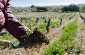 ep una parcela de agricultura regenerativa