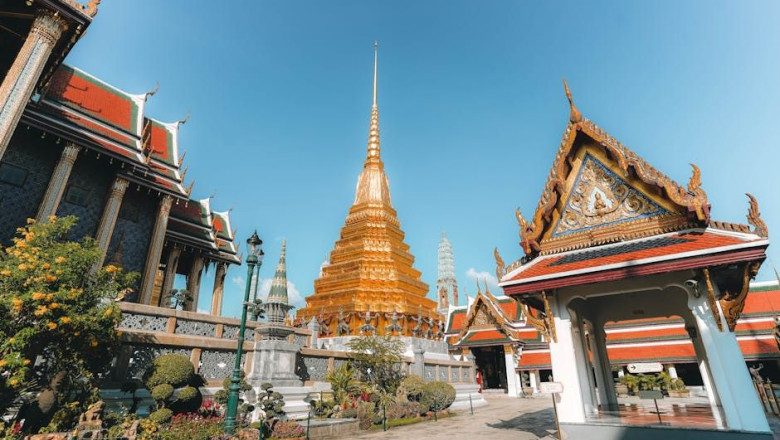 pexels pexels photo 11104921