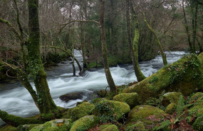 1608752959 imagen 1608752959 imagen