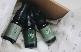 1648715842 didom blog