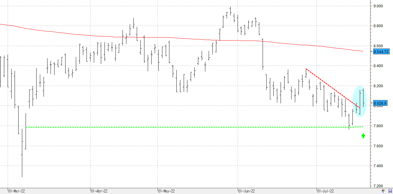 c200722ibex