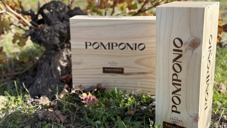 caja de vino pomponio 