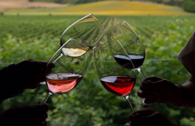ep archivo   brindis con copas de vino