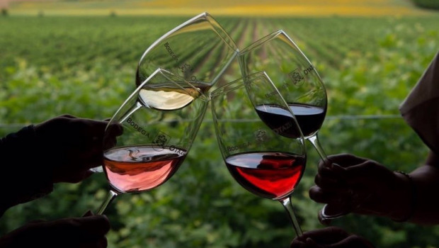 ep archivo   brindis con copas de vino