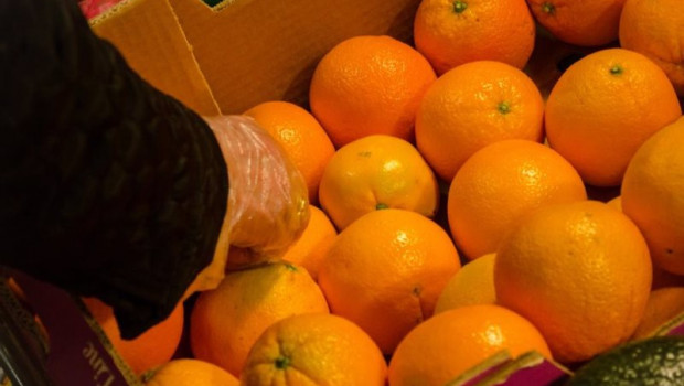 ep archivo   naranjas consumo precio precios ipc supermercado alimentos compras comprar frutas