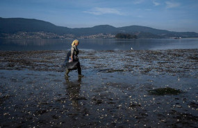 ep archivo   una mujer camina por la ensenada de san simon rias baixas a 17 de noviembre de 2023
