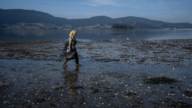 ep archivo   una mujer camina por la ensenada de san simon rias baixas a 17 de noviembre de 2023