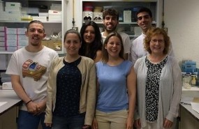 ep grupo regulacion metabolismoub