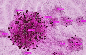 ep ilustracion de cancer de endometrio