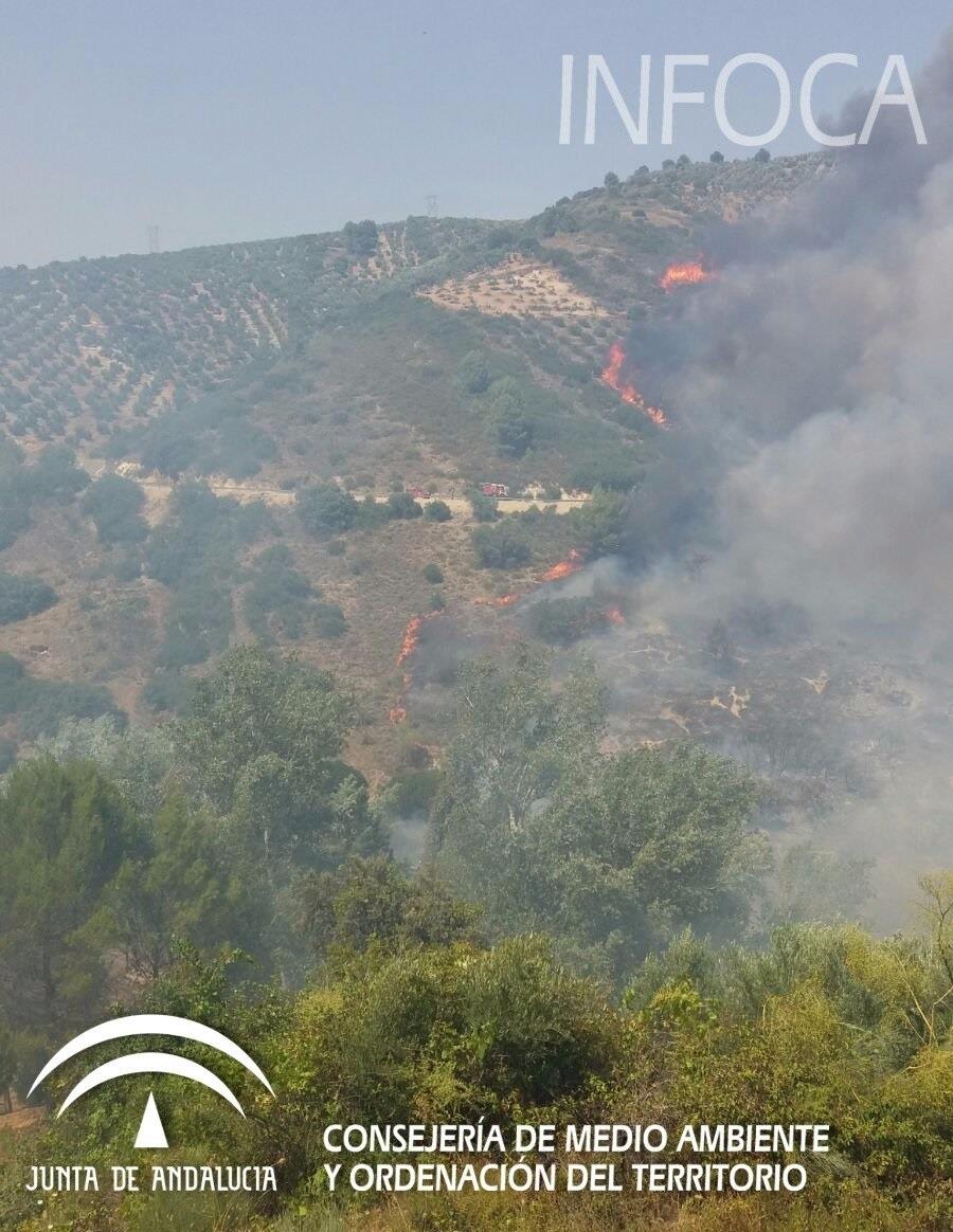 Incendio en Villanueva del Arzobispo | EUROPA PRESS/INFOCA ep incendiovillanuevaarzobispo