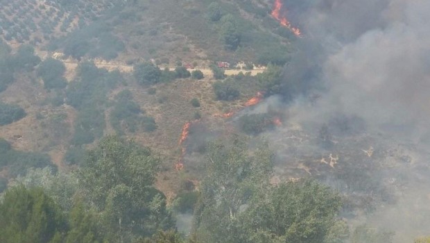 ep incendiovillanuevaarzobispo