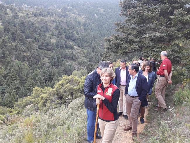 Isabel García Tejerina en Sierra de las Nieves | SUBDELEGACIÓN - Archivo ep isabel garcia tejerinasierralas nieves