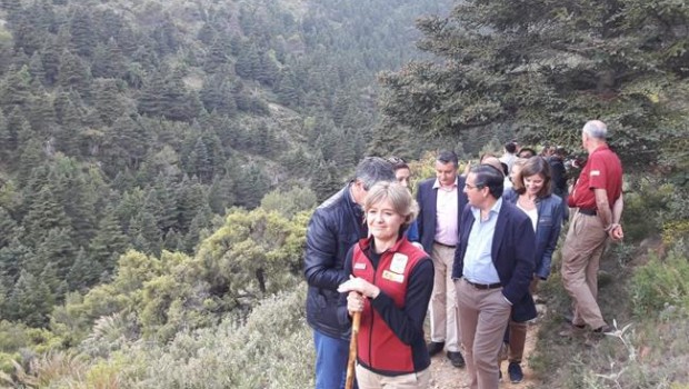 ep isabel garcia tejerinasierralas nieves