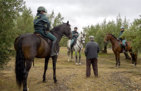 ep labor de la guardia civil en los tajos durante la campana de aceituna