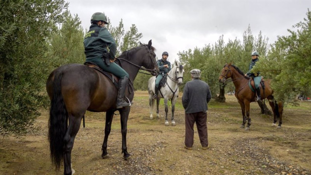ep labor de la guardia civil en los tajos durante la campana de aceituna