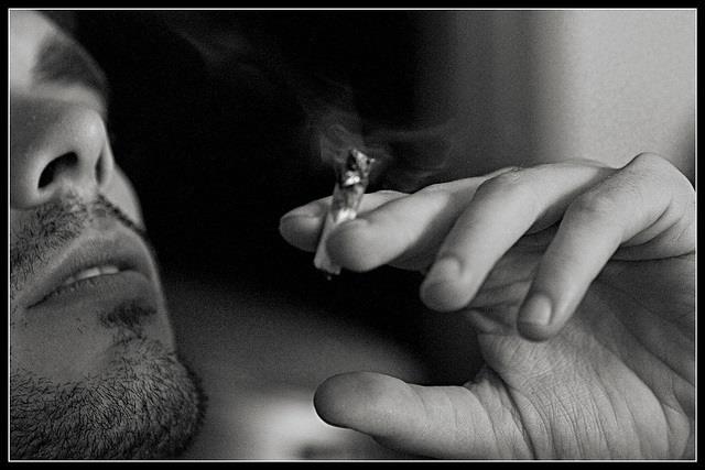 Porro, canuto | WIROS/FLICKR ep porro canuto