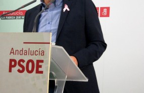 ep portavozgrupo socialistaparlamento andaluz mario jimenez