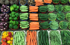 ep verduras y hortalizas de huerta de proximidad