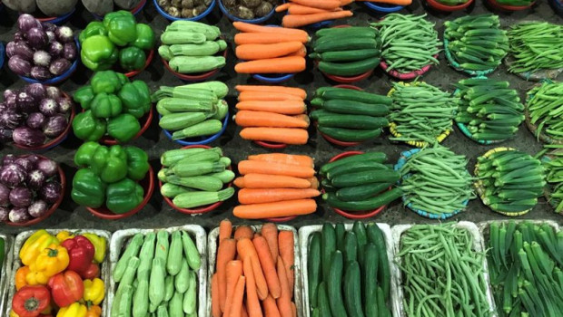 ep verduras y hortalizas de huerta de proximidad