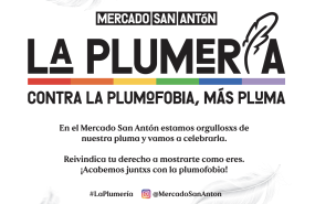 mercadosananton laplumeria 02